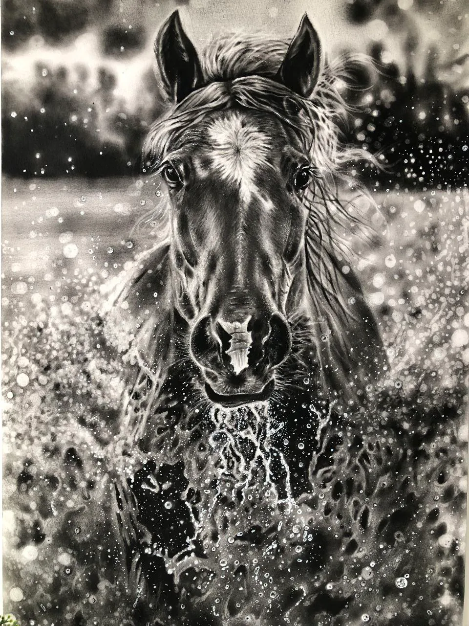 Monochrome oil painting of a dark horse running through splashing water.